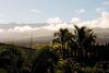 Maui Banyan Q409a & Q409