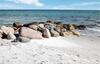 Holiday Home G�sehagevej Denm