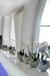 Hotel Palm Beach