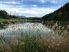Pineta Natural Chalet