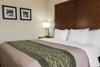Hotel Comfort Inn - Pocono Mountain