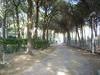 Apartment In Eraclea Mare 25149