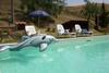 Fattoria Spedaletto Apartment Sleeps 6 Pool Wifi
