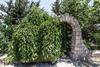 Villa Country Sicily Home