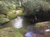 Agroturismo La Arbolada