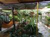 Agroturismo Hostal Campestre Samadhi