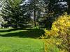 Comfortable Apartment In Tabarz Thuringia Near Forest