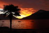 Apartamento Residence Le Azalee