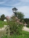 Hostal Gasthof Pension Steinberger