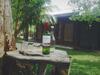 Bed & Breakfast Green Cottage