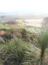 Hostal Linga Longa Country Guesthouse
