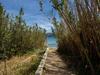 Apartment Cap N�gre : Domaine De La Pin�de.12