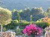Bed & Breakfast Mas De Longuefeuille