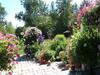 Riverwood Bed & Breakfast