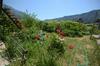 Apartments Dakovic
