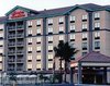 Hotel Hampton Inn & Suites Anaheim/garden Grove