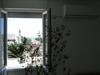 Hostal Studio Jasna