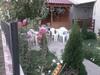 Hostal Vila Talisha