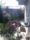 Hostal Vila Talisha