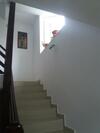 Hostal Vila Talisha