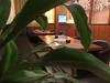 Hostal Vila Danlavi