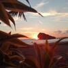 Hostal Arrys Watukarung Surfcamp