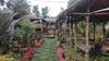 Ijen Miner Family Homestay