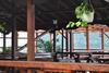 Hostal Pension La Ponton