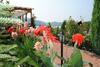 Hostal Pension La Ponton