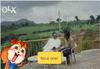 Ganaka Motel - Igatpuri
