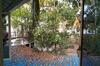 Blue Birds Homestay
