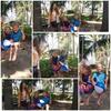 Blue Birds Homestay