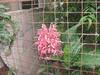 Troya Home Stay