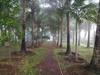 Hostal Rashmi Woods Hotel & Resort