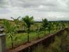 Hostal Rashmi Woods Hotel & Resort