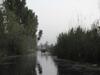 New Shamus Maqbool Group Of Houseboat