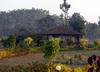 Hotel The Wildflower Resort At Bandhavgarh