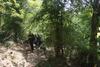 Hotel The Wildflower Resort At Bandhavgarh