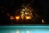 Hotel The Wildflower Resort At Bandhavgarh