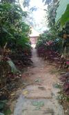 Dreams Homestay