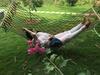 Hotel Wayanad Hilltop Holiday Home
