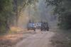 Hotel Maati Jungle Lodge Resort Bandhavgarh