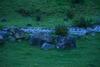 Bed & Breakfast The Conerstayz
