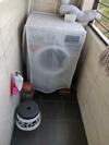 Orchid Suites Apartments