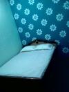 Bed & Breakfast Hotel Parth
