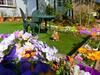 Bed & Breakfast Natural House Pure 21