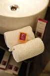 Hotel Anandam Clarks Inn Suites Vrindavan