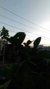 Apartamento Prakrutika