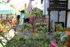 Apartamentos Pension Tip-top