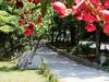 Historic Apartment In Saludecio With Swimming Pool